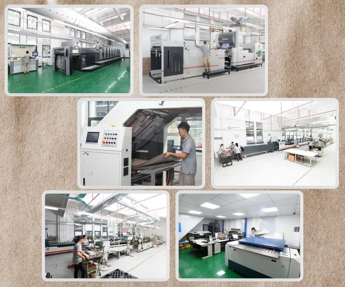 Klong Packaging factory production line showing large-scale monthly output and precise manufacturing workflow