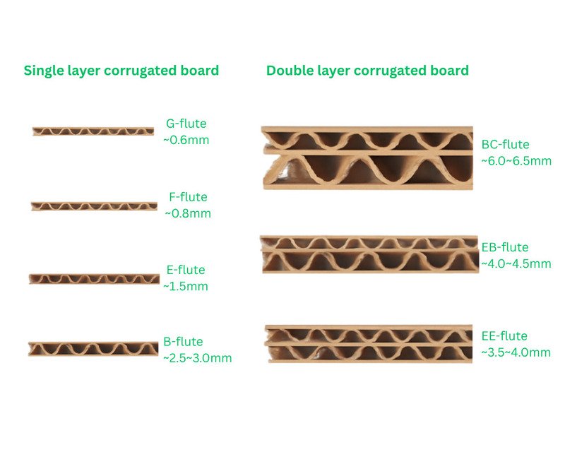 Various flute types of corrugated paperboard (B, E, F, G, BC/EB/EE), highlighting the structural differences and ideal applications for each.